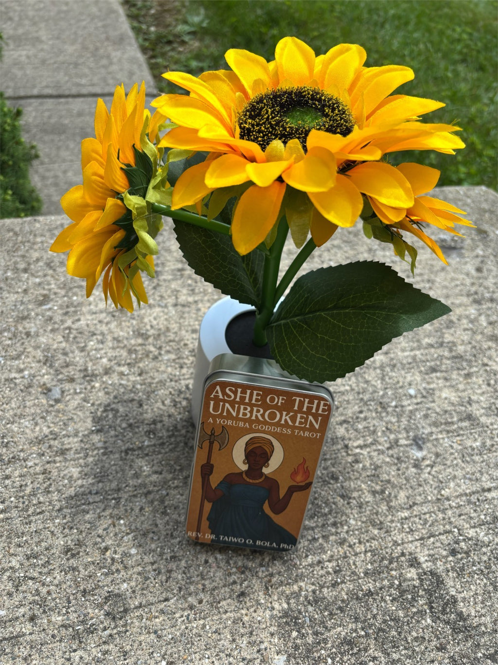Ashe Of The Unbroken (Tarot) Includes a One-Page Activation PDF & Free Shipping