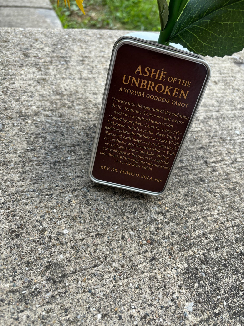 Ashe Of The Unbroken (Tarot) Includes a One-Page Activation PDF & Free Shipping
